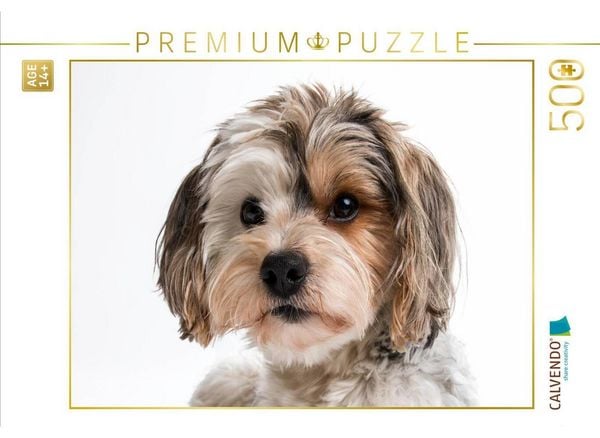 CALVENDO Puzzle Rudi - Biewer Yorkshire Terrier | 500 Teile Lege-Größe 48 × 36 cm Foto-Puzzle für Erwachsene