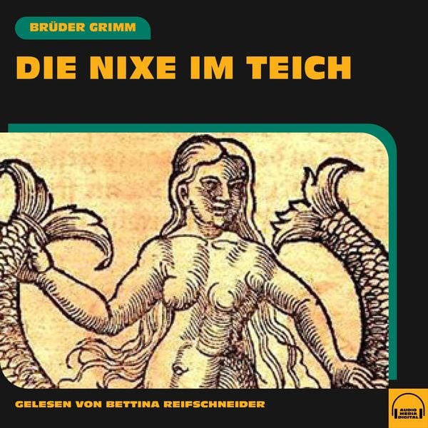 Produktbild: Die Nixe im Teich