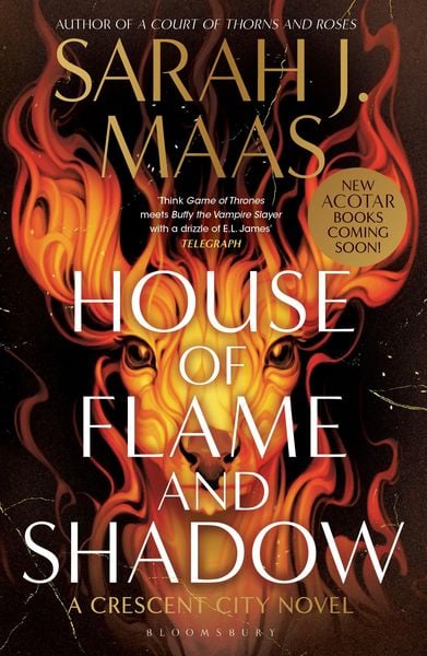 Produktbild: House of Flame and Shadow
