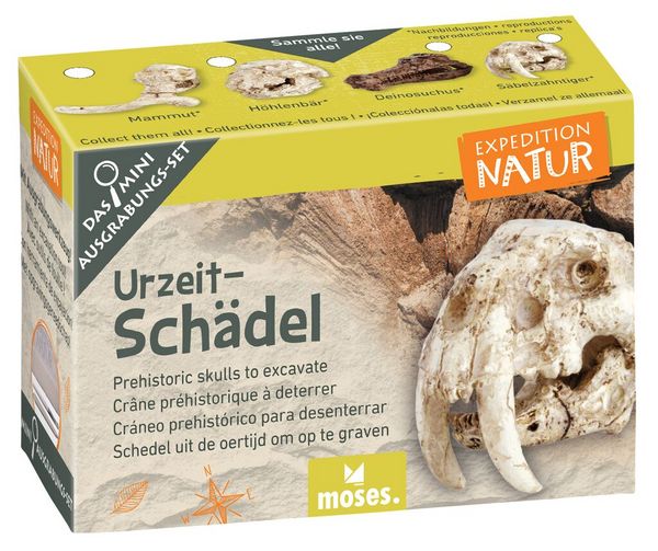 Produktbild: Expedition Natur Mini-Ausgrabungssets