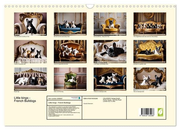 Produktbild: Little kings - French Bulldogs (Wall Calendar 2026 DIN A3 landscape), CALVENDO 12 Month Wall Calendar
