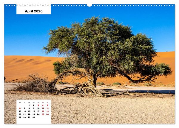 Produktbild: Magische W&uuml;ste - Die Namib (hochwertiger Premium Wandkalender 2026 DIN A2 quer), Kunstdruck in Hochglanz