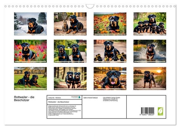 Produktbild: Rottweiler - die Besch&uuml;tzer (Wandkalender 2026 DIN A3 quer), CALVENDO Monatskalender