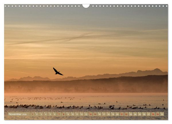 Produktbild: Zauberhafter Westlicher Bodensee (Wandkalender 2026 DIN A3 quer), CALVENDO Monatskalender