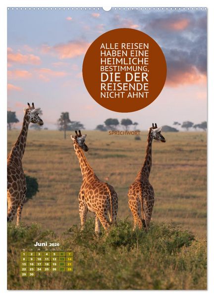 Produktbild: Verr&uuml;ckt nach REISEN Fernweh - Travel - Spr&uuml;che (Wandkalender 2026 DIN A2 hoch), CALVENDO Monatskalender