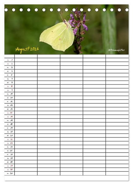 Produktbild: Schmetterlinge in Bayern (Tischkalender 2026 DIN A5 hoch), CALVENDO Monatskalender