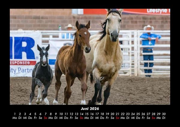 Produktbild: Die Welt der Pferde 2026 Fotokalender DIN A3