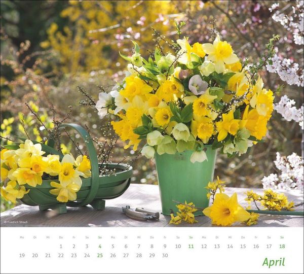 Produktbild: times&more Blumen Bildkalender 2027