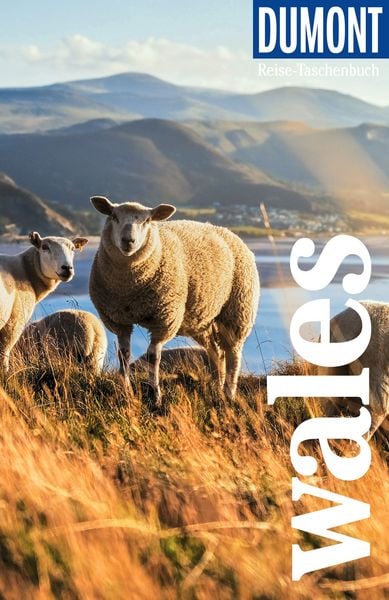 Produktbild: DuMont Reise-Taschenbuch Wales
