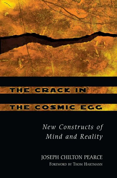 Produktbild: The Crack in the Cosmic Egg