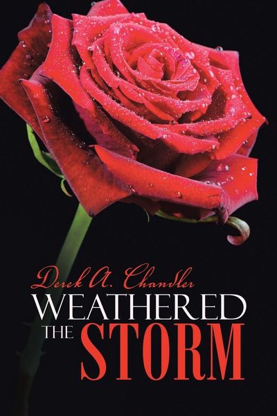 Produktbild: Weathered the Storm