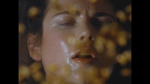 Produktbild: Killerbienen II - Die M&ouml;rderbienen greifen wieder an (Terror aus den Wolken / Terror Out of the Sky) (Filmjuwelen)