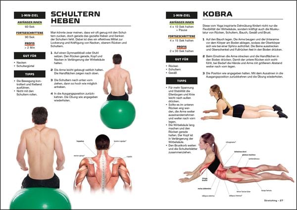 Produktbild: Fit und stark in 10 Minuten