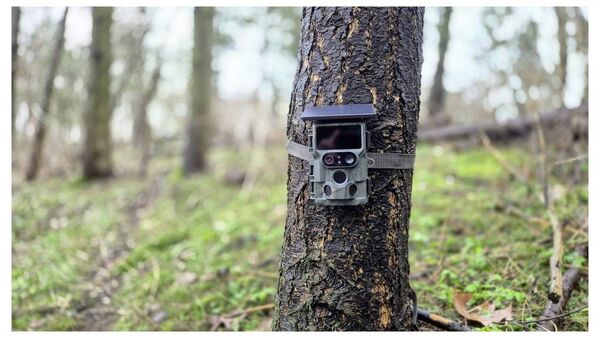 Produktbild: Braun Phototechnik Cam Black1321 Wildkamera WLAN Camouflage