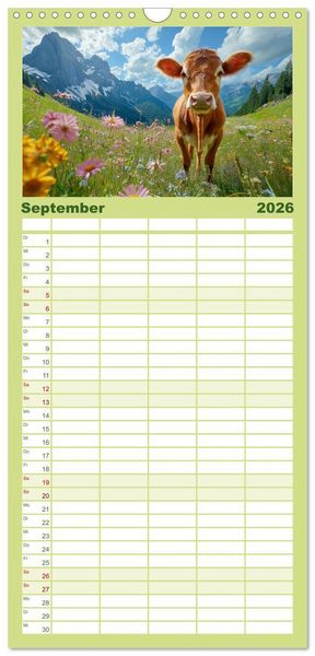 Produktbild: Familienplaner 2026 - K&Uuml;HE AUF DER ALM &ndash; Der Kalender aus Bayern mit 5 Spalten (Wandkalender, 21 x 45 cm) CALVENDO