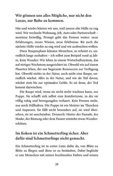 Produktbild: Schmetterlinge fallen nicht vom Himmel