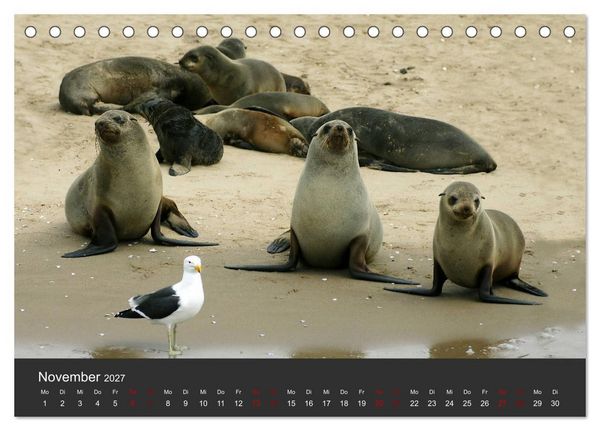 Produktbild: S&uuml;dafrika - Einzigartige Natursch&ouml;nheit (Tischkalender 2027 DIN A5 quer), CALVENDO Monatskalender