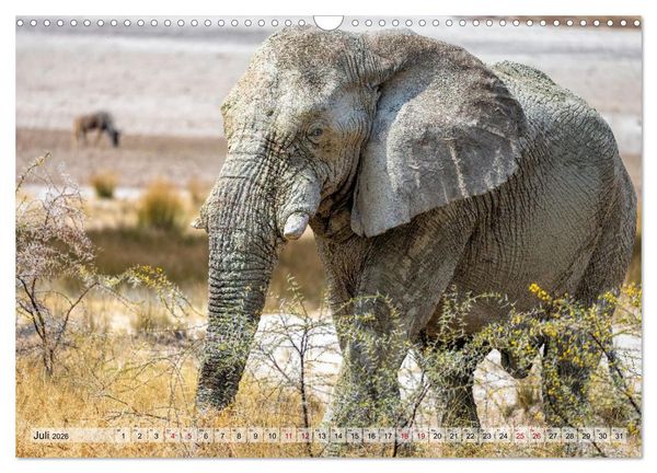 Produktbild: Namibia - Simbabwe - Botswana Leben zwischen W&uuml;ste und Wildnis (Wandkalender 2026 DIN A3 quer), CALVENDO Monatskalender
