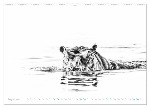 Produktbild: AFRIKA - Schwarz-weiss Fotografien im modernen "High Key" Look (Wandkalender 2026 DIN A2 quer), CALVENDO Monatskalender