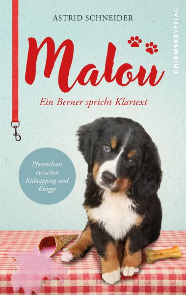 Produktbild: Malou - ein Berner spricht Klartext