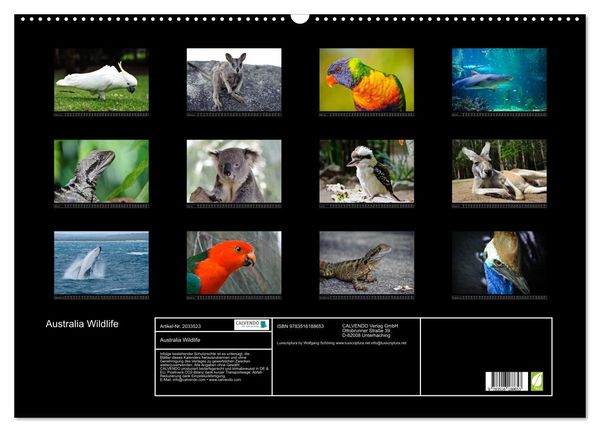 Produktbild: Australia Wildlife (Wandkalender 2026 DIN A2 quer), CALVENDO Monatskalender
