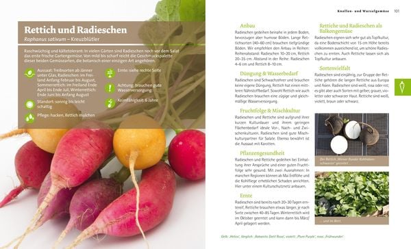 Produktbild: Bio-Gem&uuml;se-Ratgeber