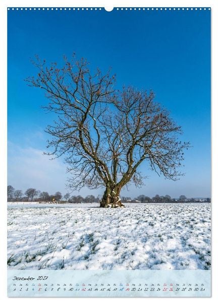 Produktbild: Wassenberger Umland (Wandkalender 2027 DIN A2 hoch), CALVENDO Monatskalender