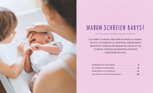 Produktbild: Mein Schreibaby verstehen und begleiten
