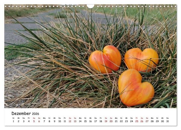 Produktbild: Tomaten Satt (Wandkalender 2026 DIN A3 quer), CALVENDO Monatskalender