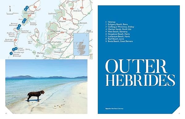 Produktbild: Swimming Wild in Scotland