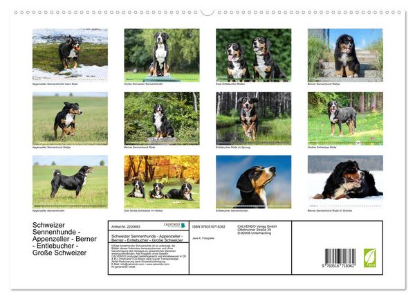 Produktbild: Schweizer Sennenhunde - Appenzeller - Berner - Entlebucher - Gro&szlig;e Schweizer (hochwertiger Premium Wandkalender 2026 DIN A2 quer), Kunstdruck in Hochglanz