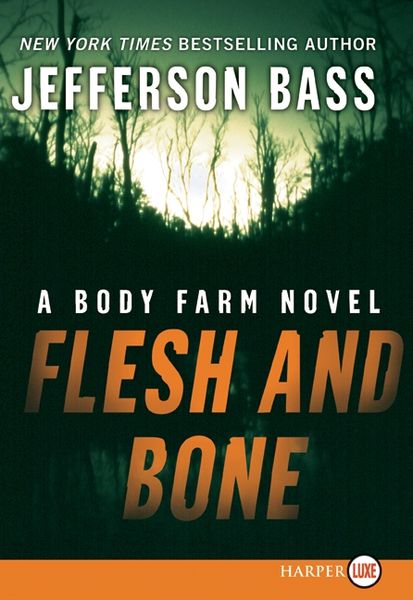 Produktbild: Flesh and Bone