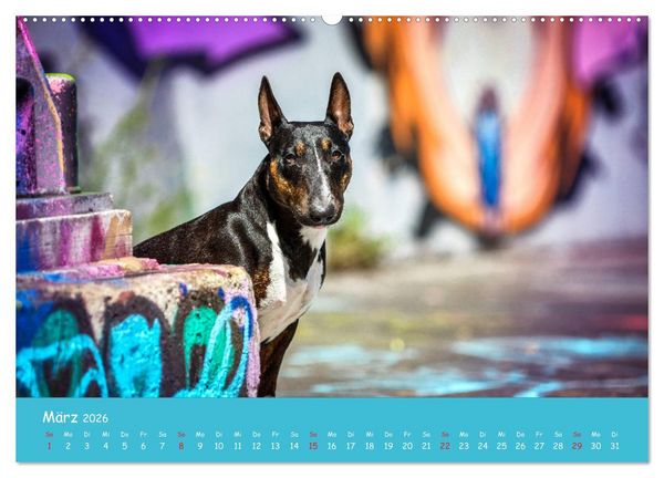 Produktbild: Hunde und Graffiti (Wandkalender 2026 DIN A2 quer), CALVENDO Monatskalender