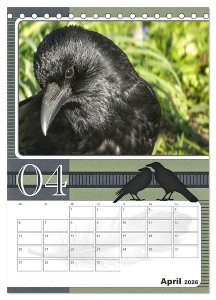 Produktbild: Kr&auml;hen - Clever notiert! Mit K&ouml;pfchen durchs ganze Jahr (Tischkalender 2026 DIN A5 hoch), CALVENDO Monatskalender