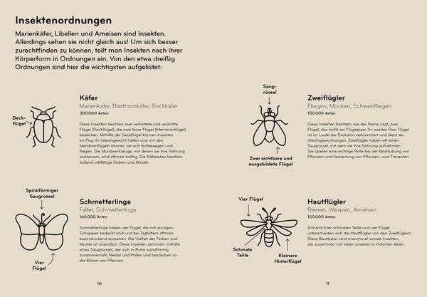 Produktbild: Insektorama