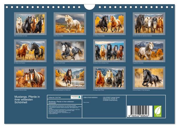 Produktbild: Mustangs. Pferde in ihrer wildesten Sch&ouml;nheit (Wandkalender 2027 DIN A4 quer), CALVENDO Monatskalender