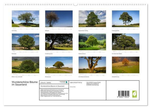 Produktbild: Wundersch&ouml;ne B&auml;ume im Sauerland (hochwertiger Premium Wandkalender 2026 DIN A2 quer), Kunstdruck in Hochglanz