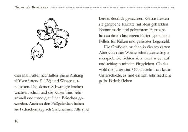 Produktbild: Von gro&szlig;en und kleinen H&uuml;hnern