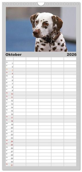 Produktbild: Familienplaner 2026 - Gefleckte Freunde - Hunderasse Dalmatiner mit 5 Spalten (Wandkalender, 21 x 45 cm) CALVENDO