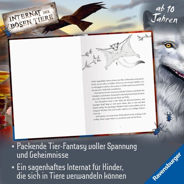 Produktbild: Internat der b&ouml;sen Tiere, Band 5 - Die Schamanin
