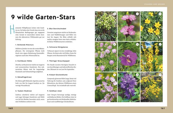 Produktbild: G&auml;rtnern f&uuml;r Gartenneulinge