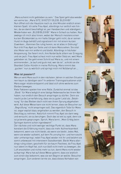 Produktbild: Hundetraining mit Martin R&uuml;tter
