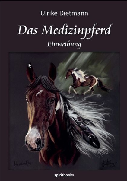 Produktbild: Das Medizinpferd