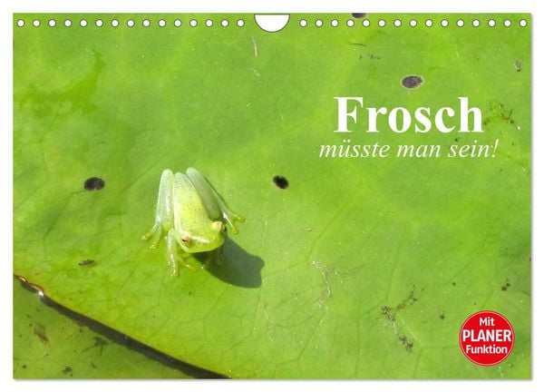 Produktbild: Frosch m&uuml;sste man sein! (Wandkalender 2026 DIN A4 quer), CALVENDO Monatskalender