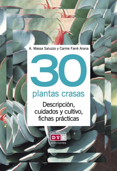 Produktbild: 30 plantas crasas
