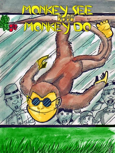 Produktbild: Monkey See Monkey Do