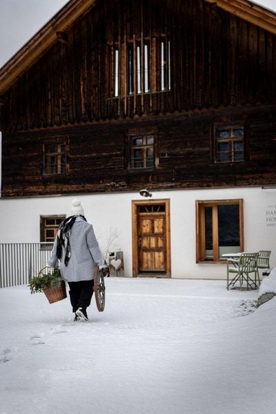 Produktbild: Rauhn&auml;chte in den Alpen