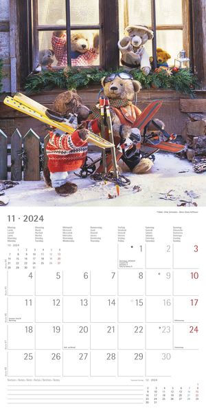  Teddy 2022 - Broschürenkalender 30x30 cm (30x60 geöffnet) -  Kalender mit Platz für Notizen - Bildkalender - Wandplaner - mit  herausnehmbarem Poster : Everything Else