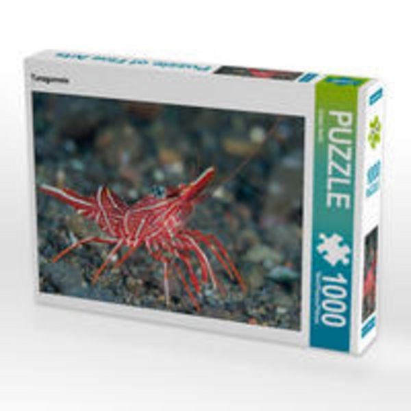 CALVENDO Puzzle Tanzgarnele 1000 Teile Lege-Größe 64 x 48 cm Foto-Puzzle Bild von Sidney Smith