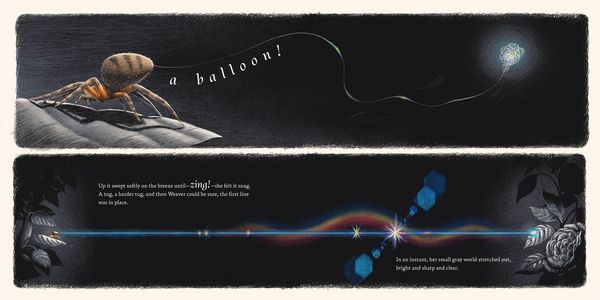 Produktbild: Weaver and the Web